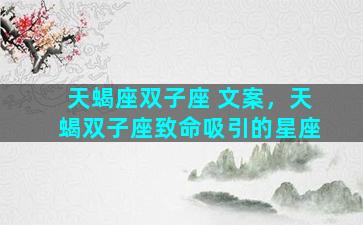 天蝎座双子座 文案，天蝎双子座致命吸引的星座